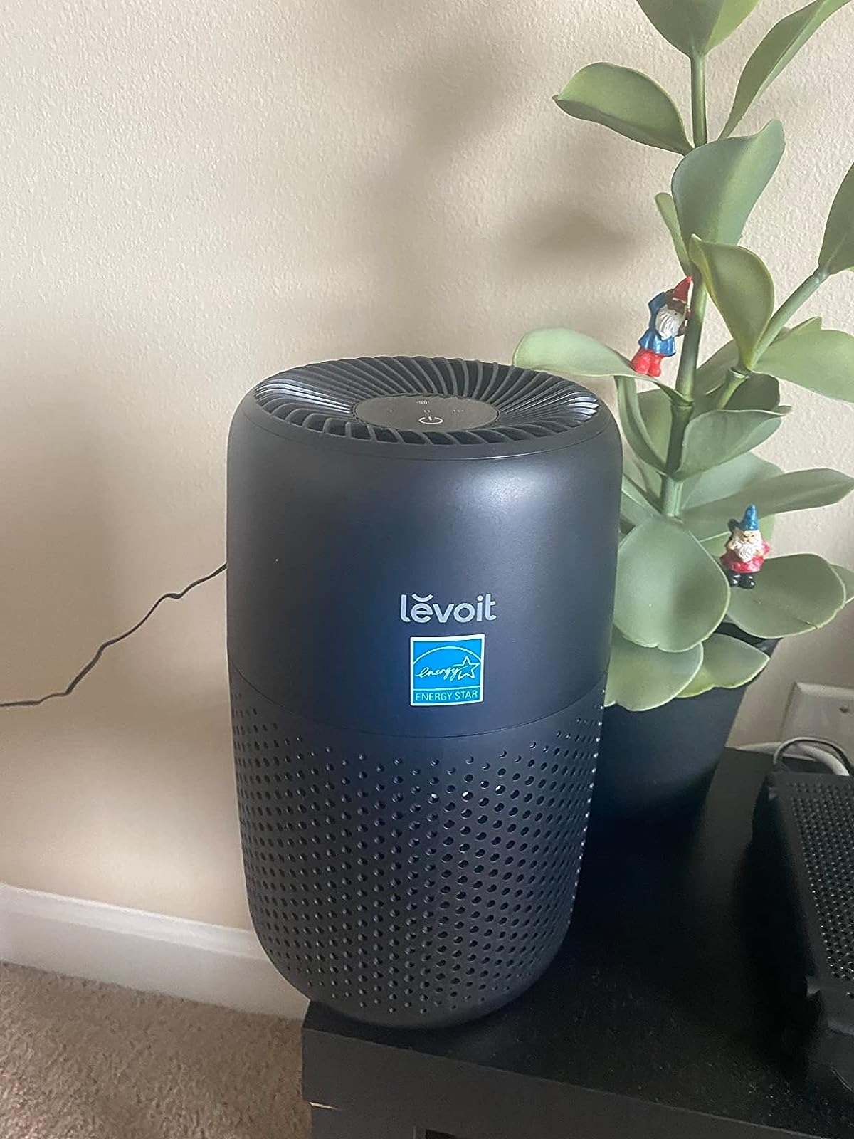 small black air purifier next to plant