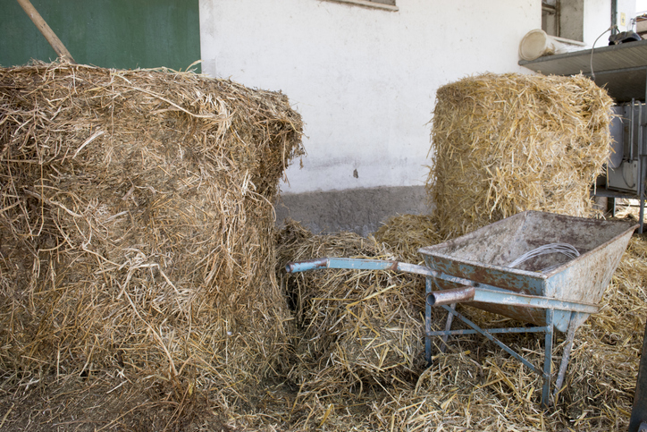 interior of a barn full of hay