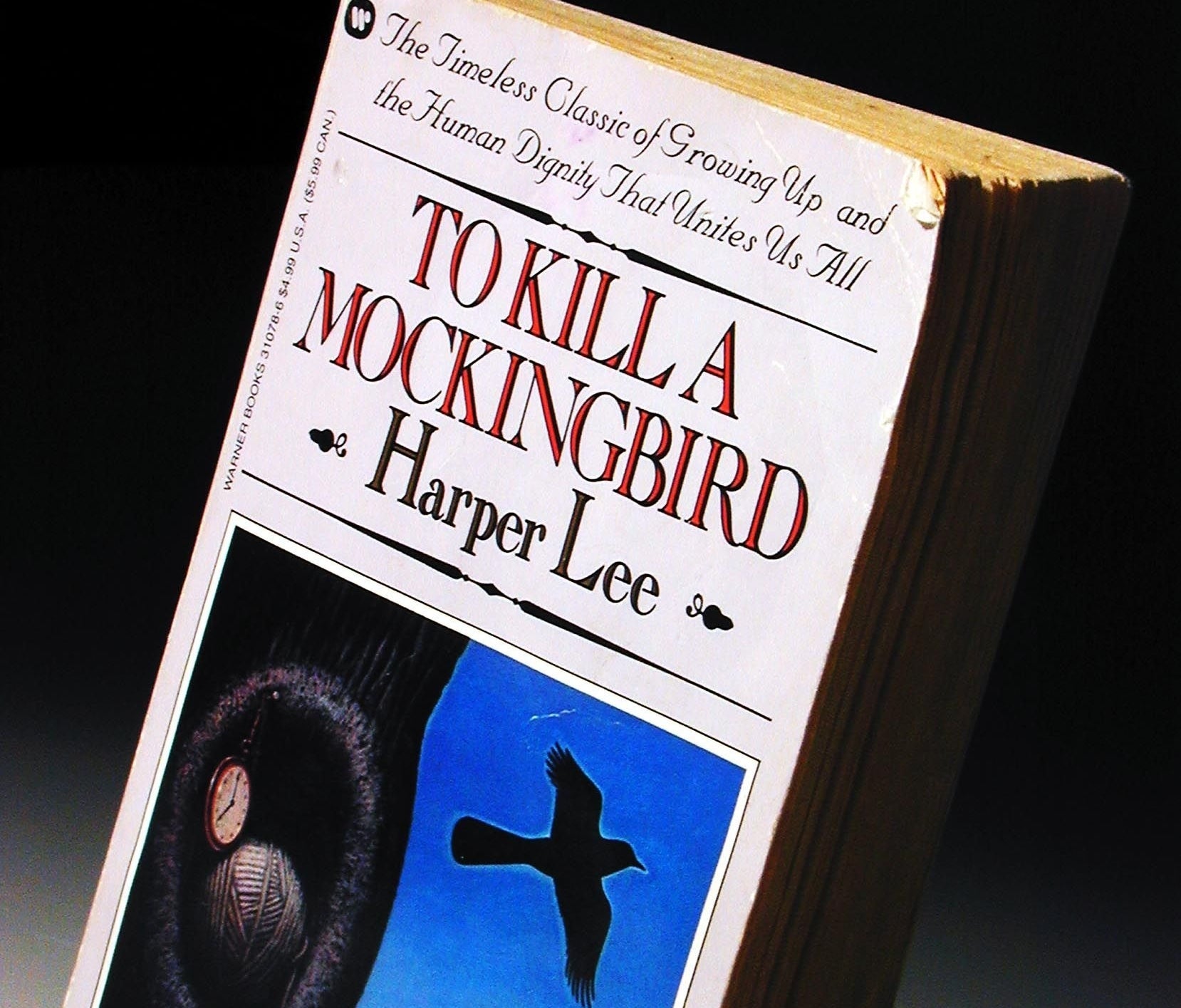 &quot;To Kill a Mockingbird&quot; by Harper Lee