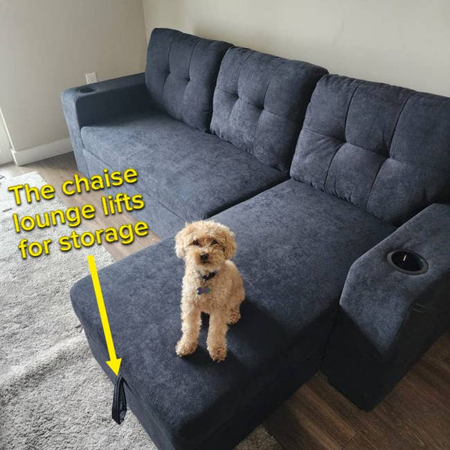 a reviewer's gray couch with a dog sitting on the chaise