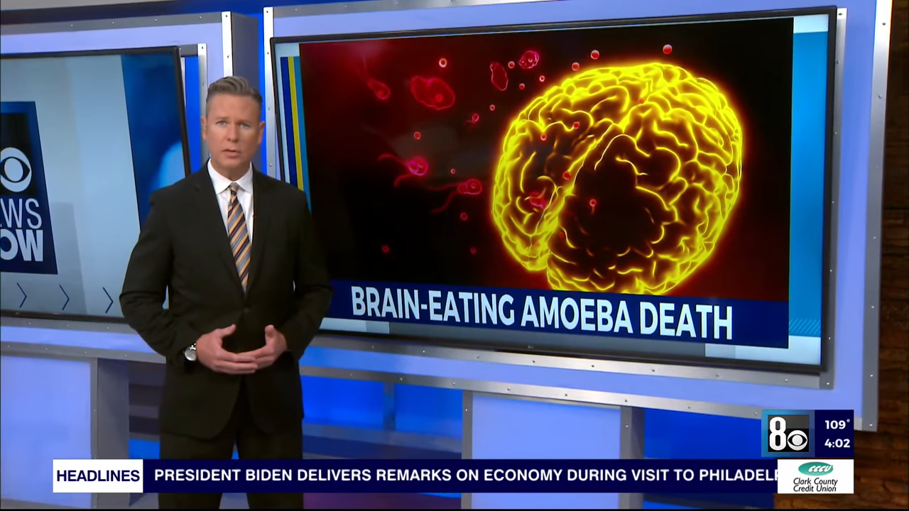 &quot;Brain-Eating Amoeba Death&quot;