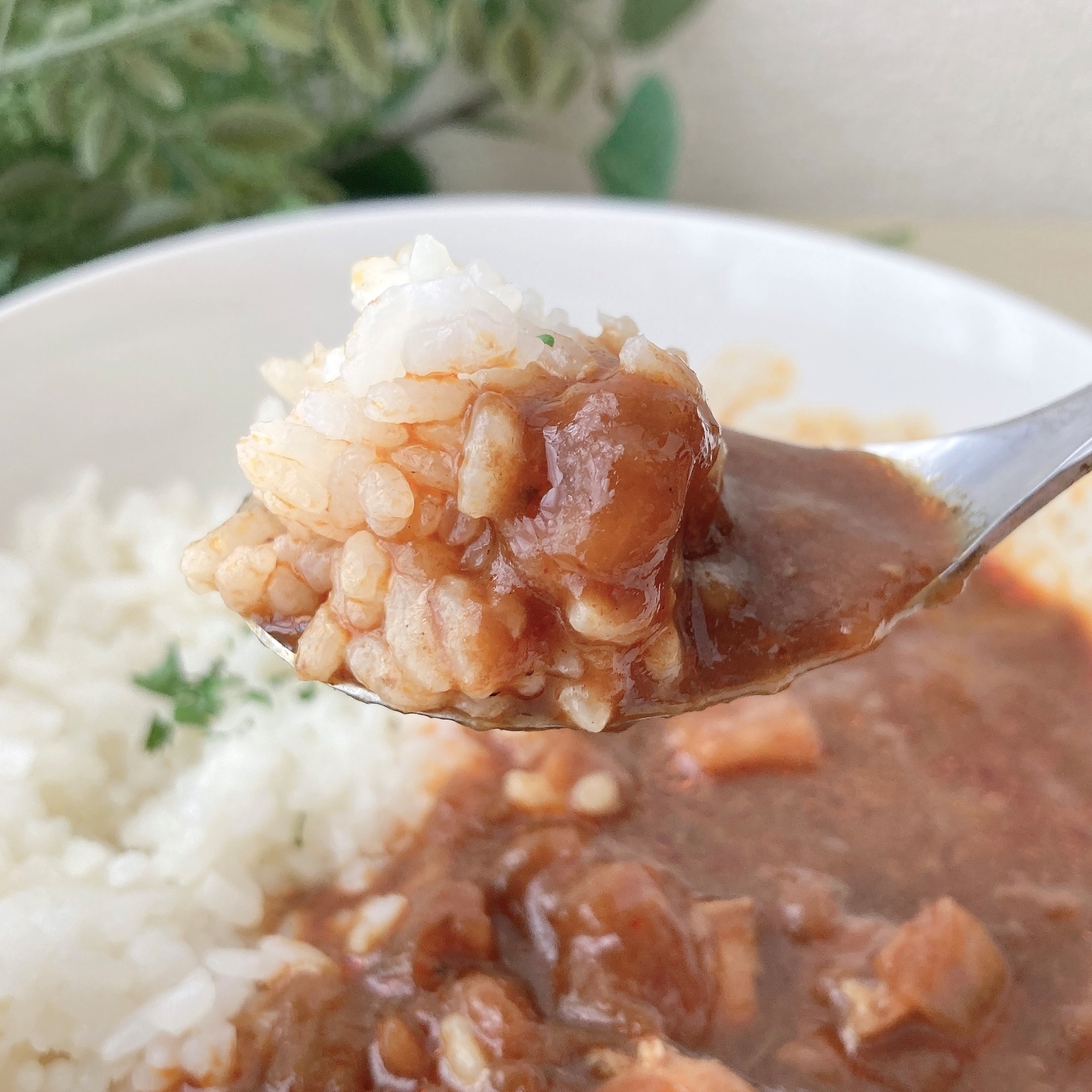 SEIYU(西友)のオススメのレトルト食品「ソテード・オニオンのコク チキンコルマカレー 180g」