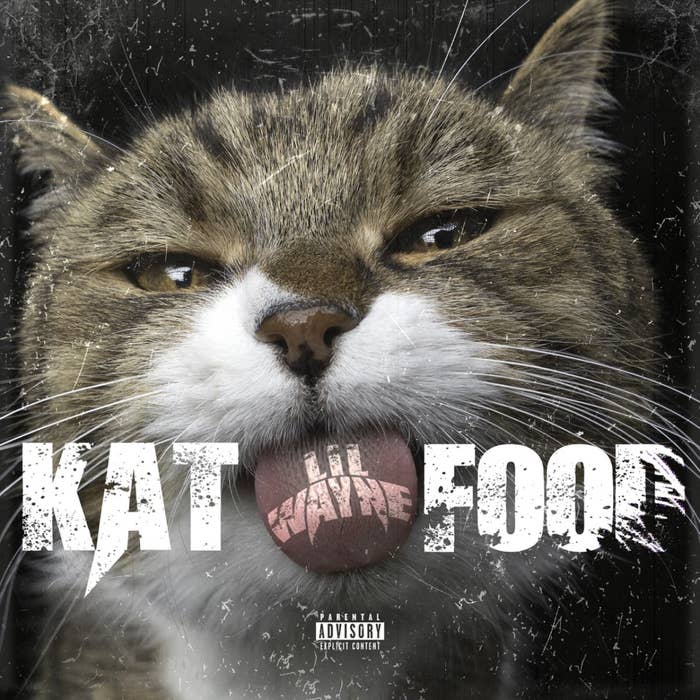 lil wayne kat food cover art