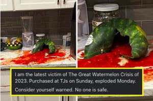 exploded watermelon with text: I am the latest victim of the Great Watermelon Crisis of 2023.