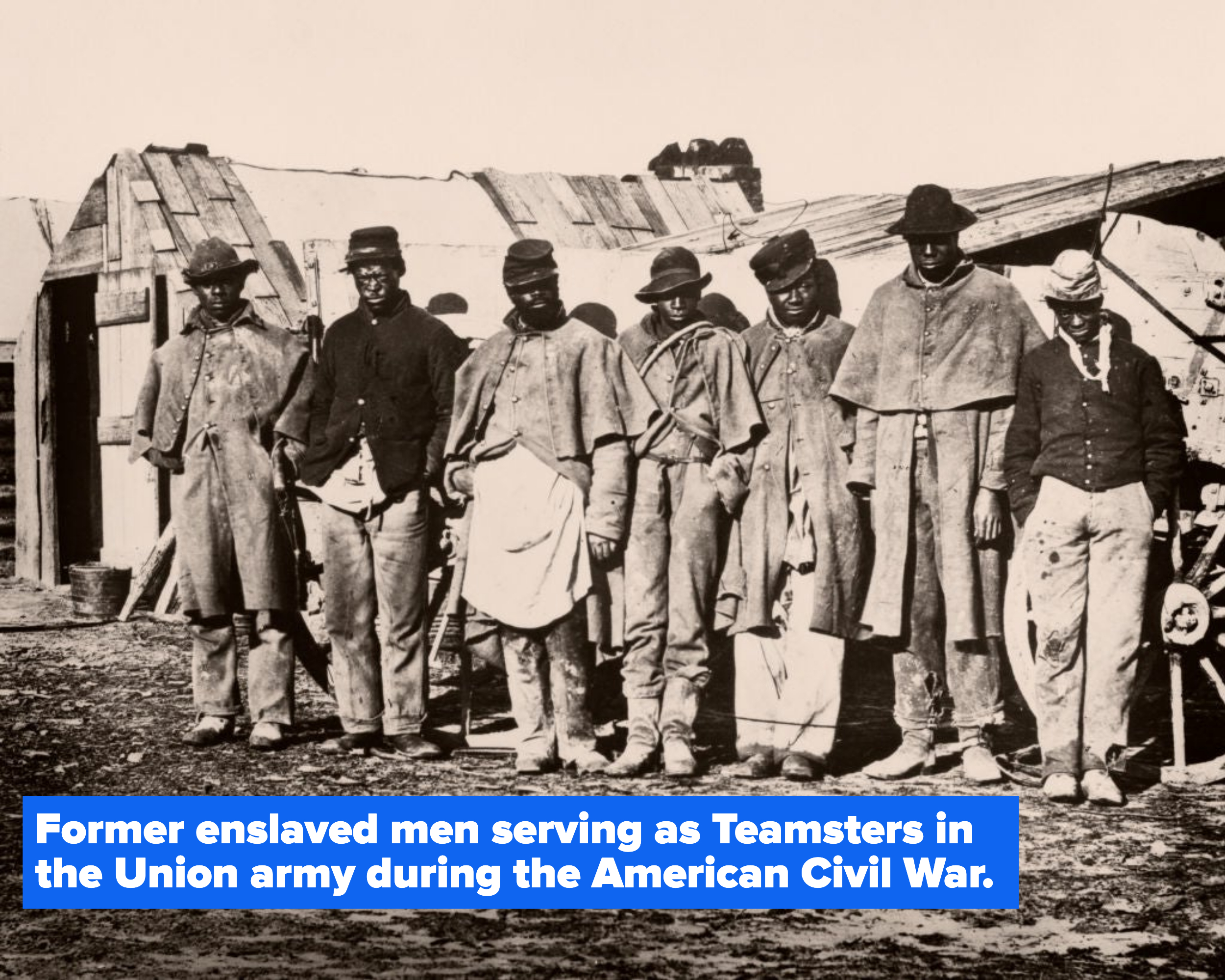 7 former enslaved men standing in line during the American Civil War