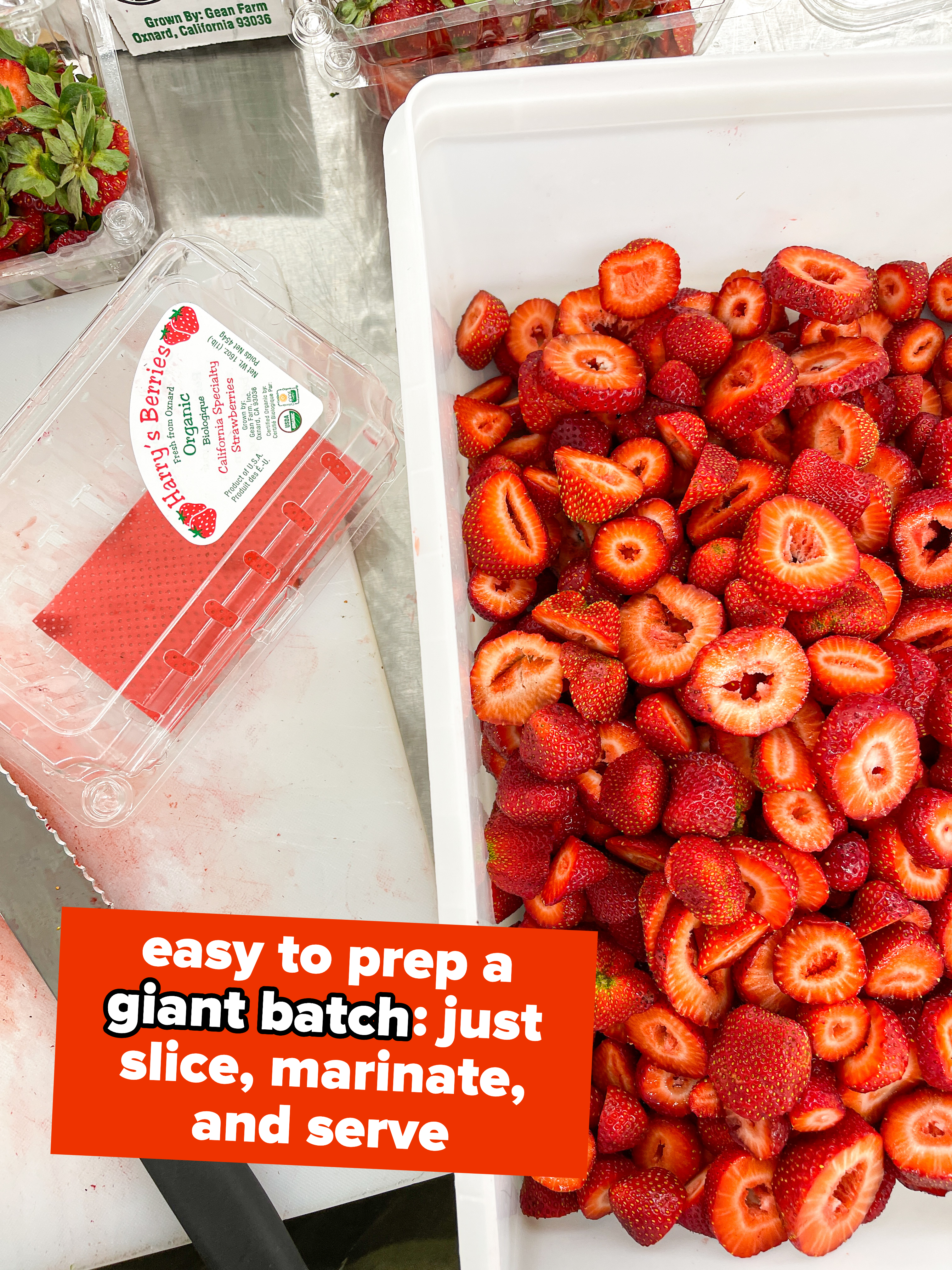 big batch of strawberries that are easy to prep