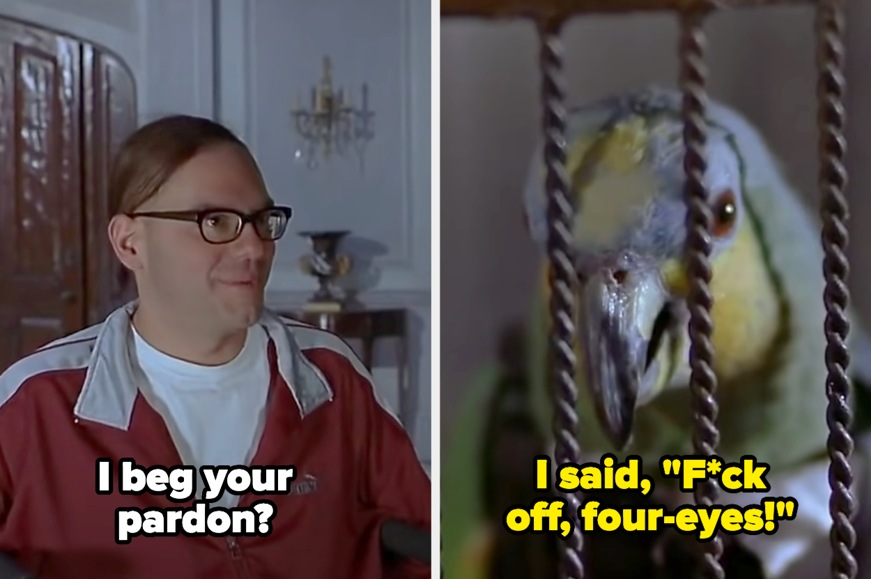 David Cross as Dwight in &quot;Scary Movie 2&quot; is talking to a parrot. He says, &quot;I beg your pardon?&quot; The parrot says, &quot;I said, &#x27;Fuck off, four-eyes.&#x27;&quot;