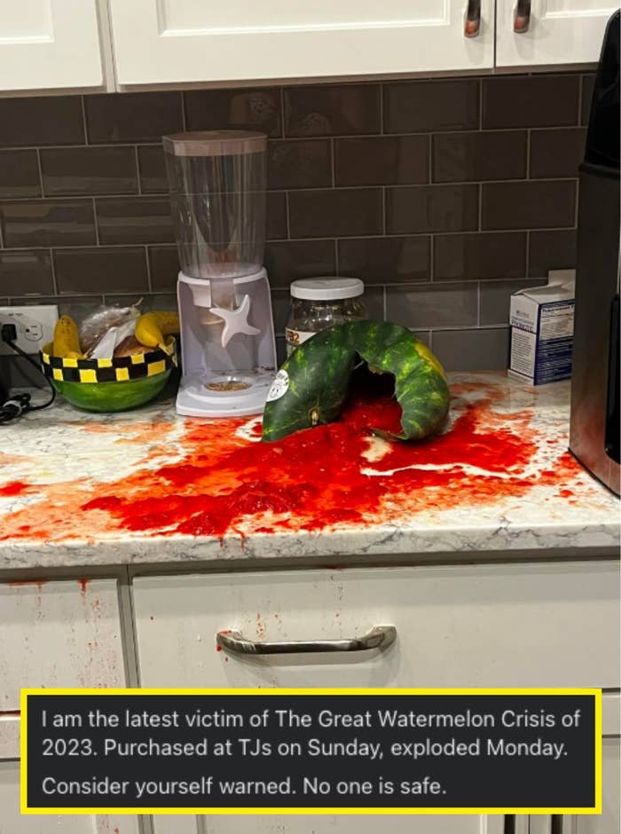 exploded watermelon on a counter with caption: I am the latest victim of the Great Watermelon Crisis of 2023. Purchased at TJs on Sunday, exploded Monday. Consider yourself warned. No one is safe.