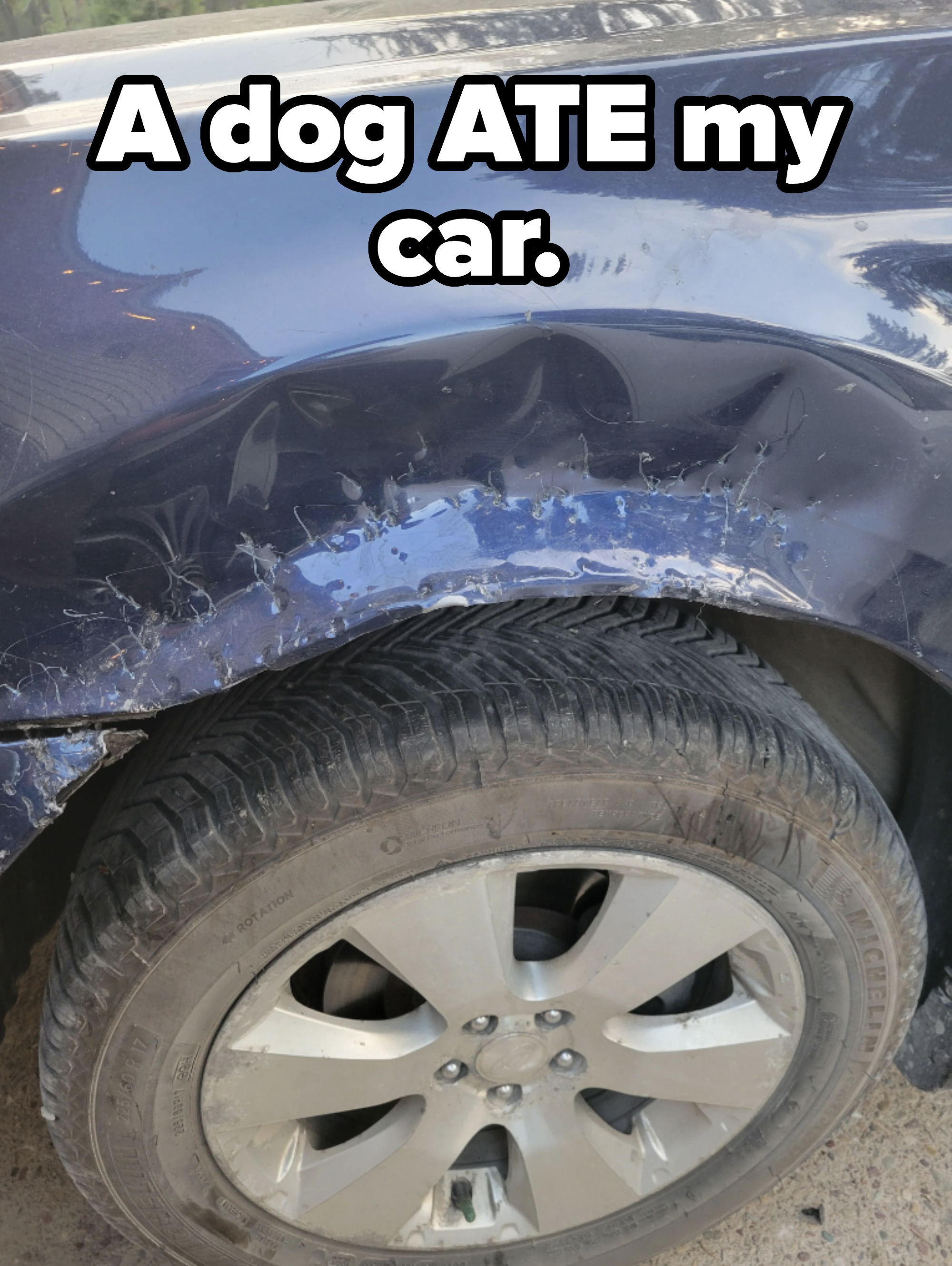 A car with bites all along the area above the tire