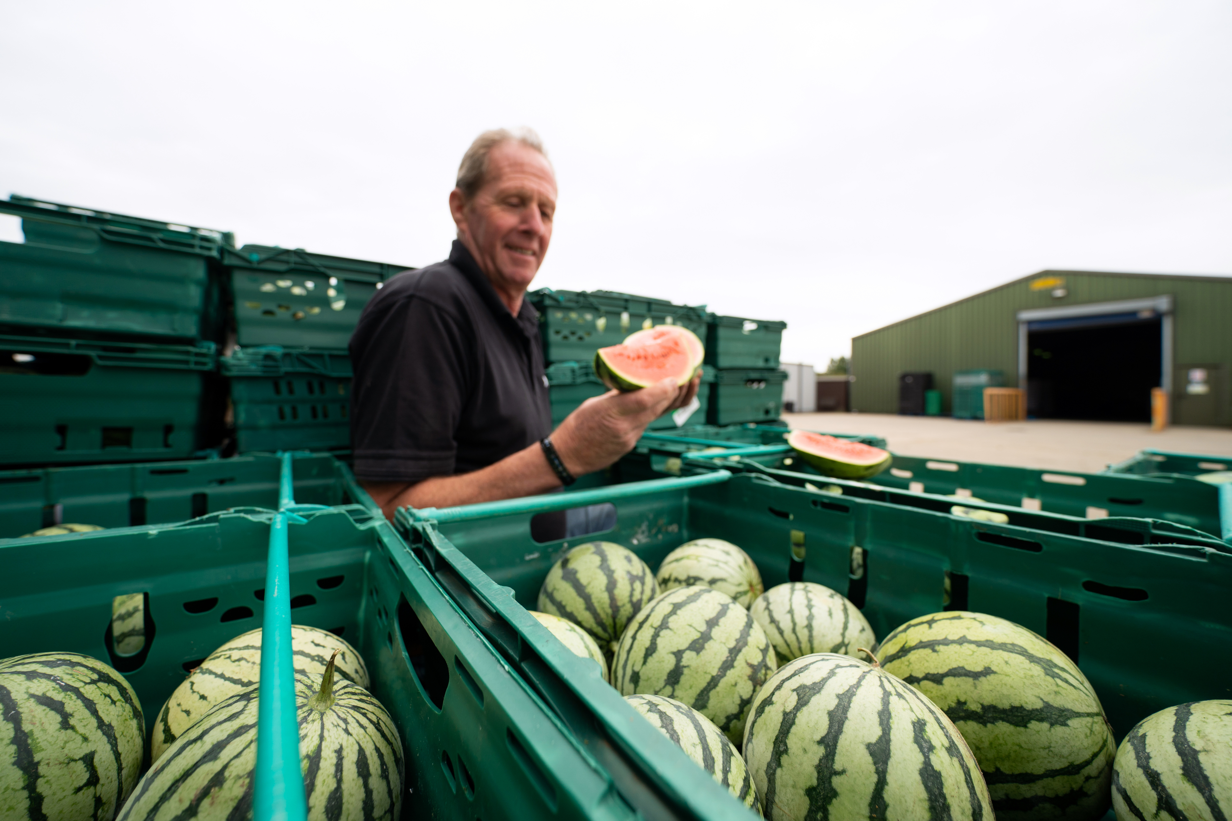 Exploding watermelon facebook 2025 hoax