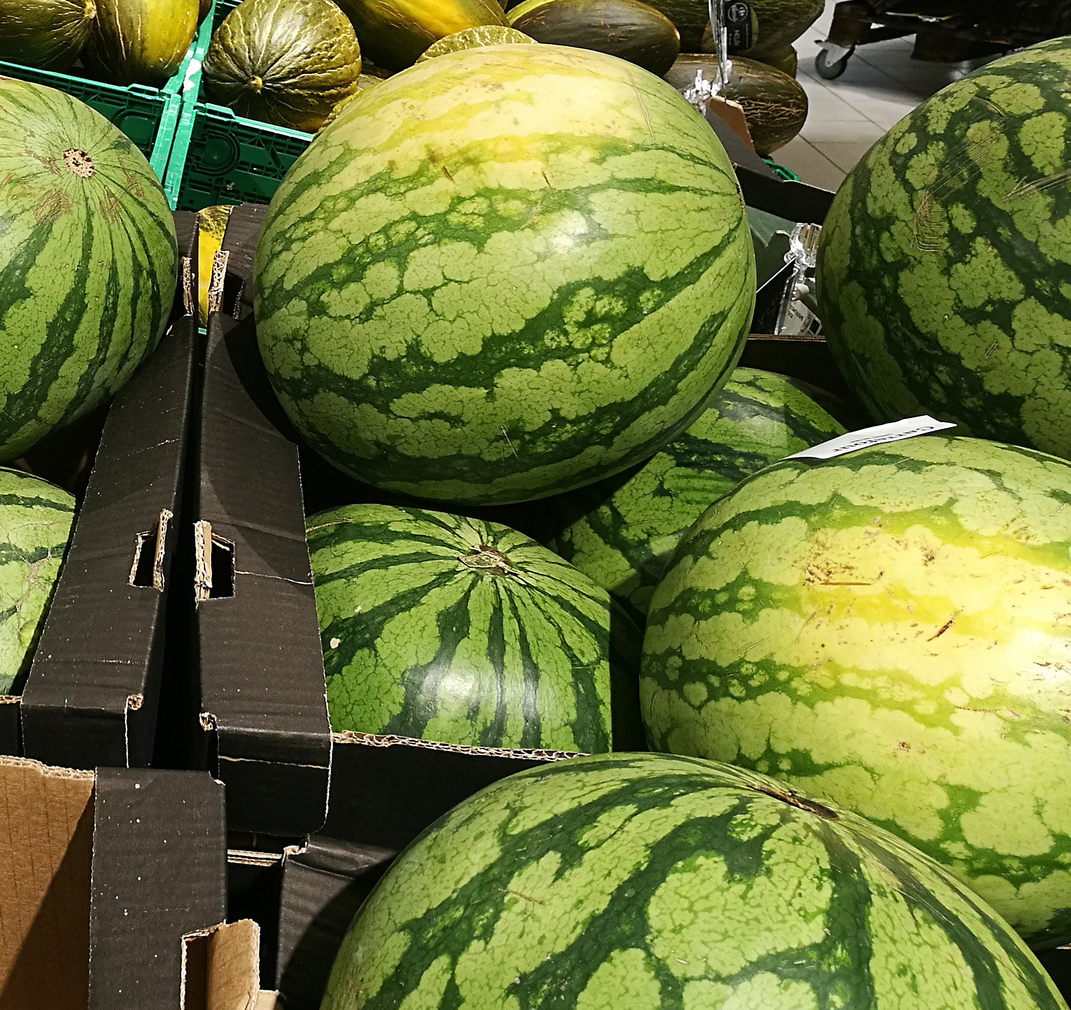 watermelons in cardboard boxes