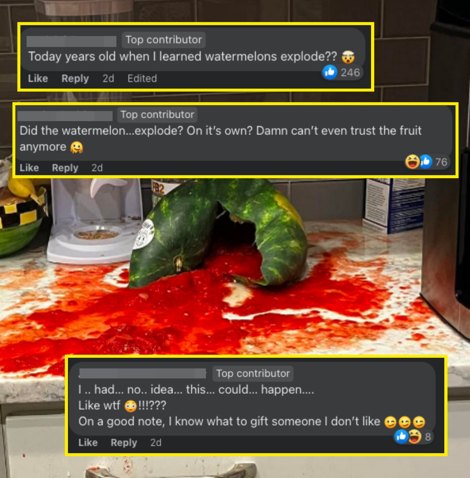 various comments of people not realizing that watermelons could explode