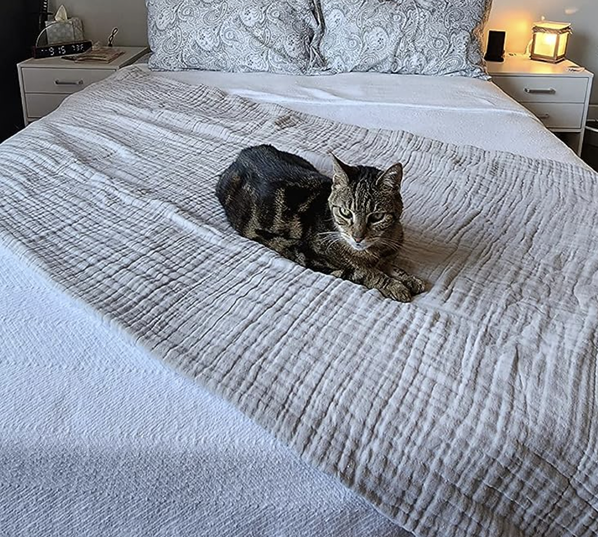 reviewer photo showing their cat laying on the blanket