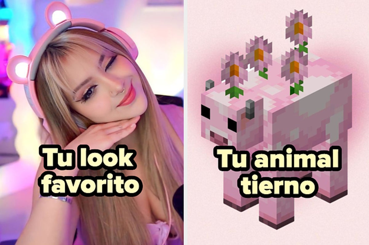 Test de looks Ari Gameplays: ¿Qué animal de Minecraft te representa?