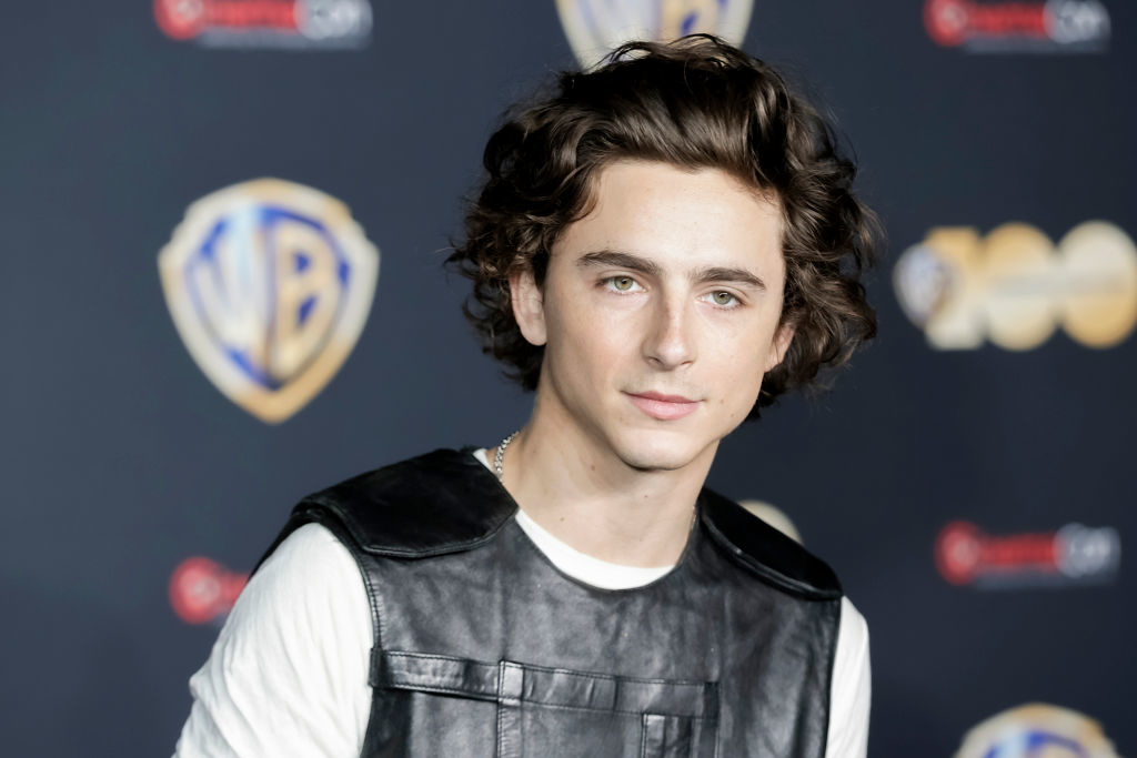 Closeup of Timothée Chalamet