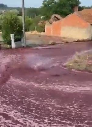 Bottom of flowing river of red wine caused by burst tanks