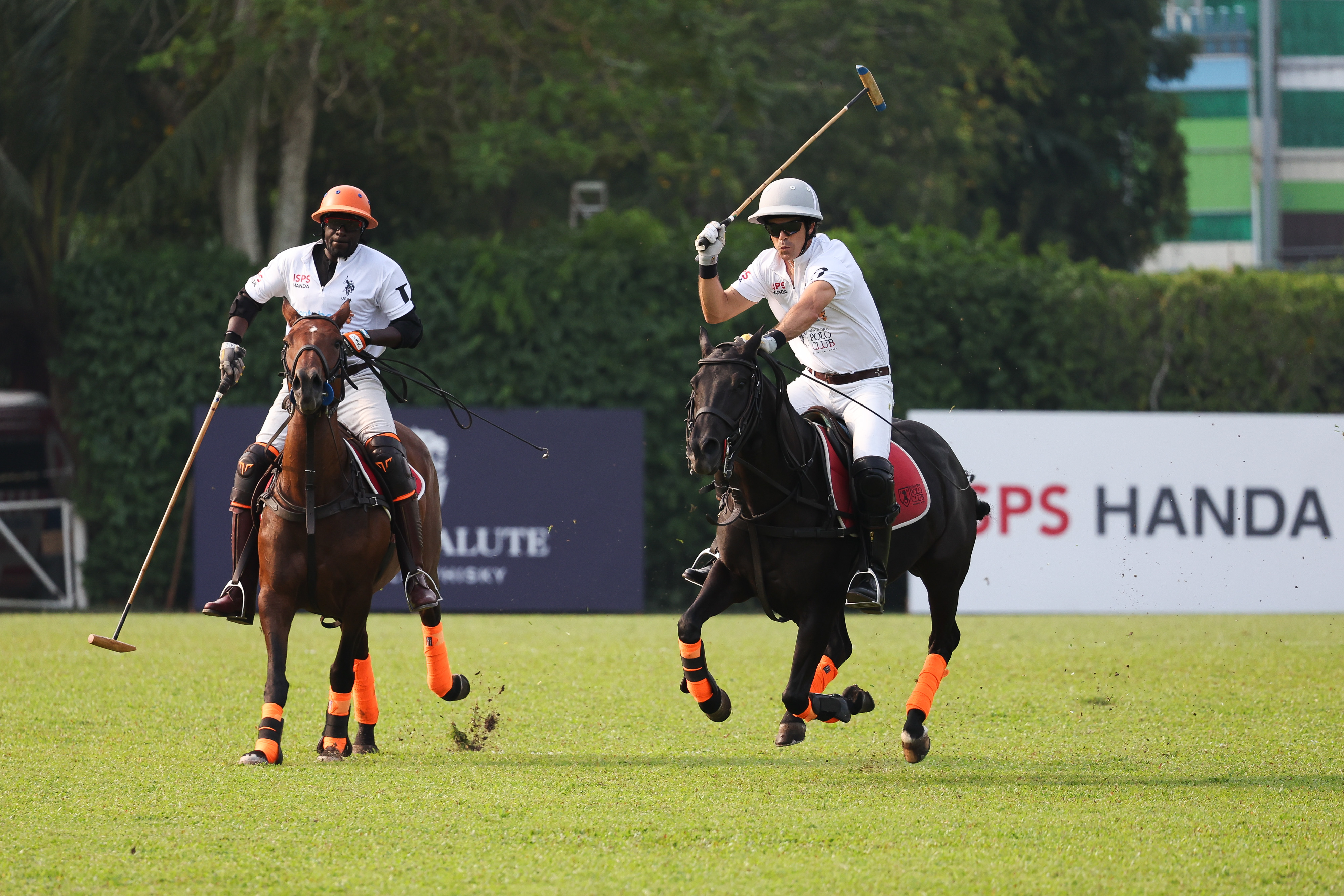 People playing polo