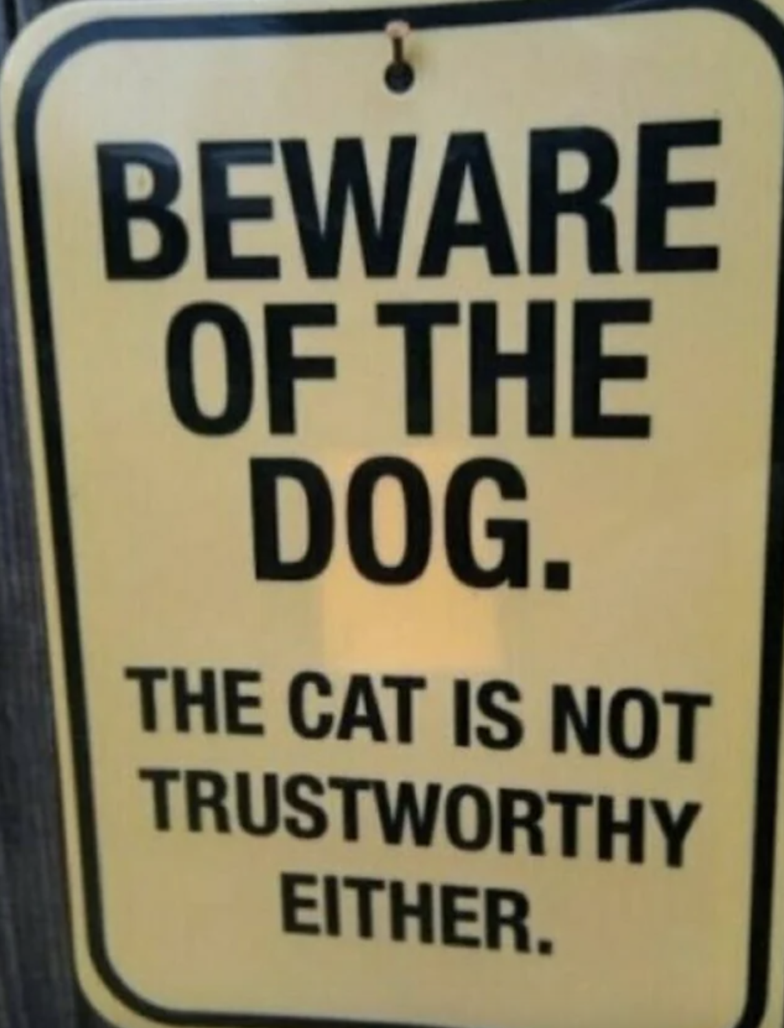 Warning sign: &quot;Beware of the dog; the cat is not trustworthy either&quot;