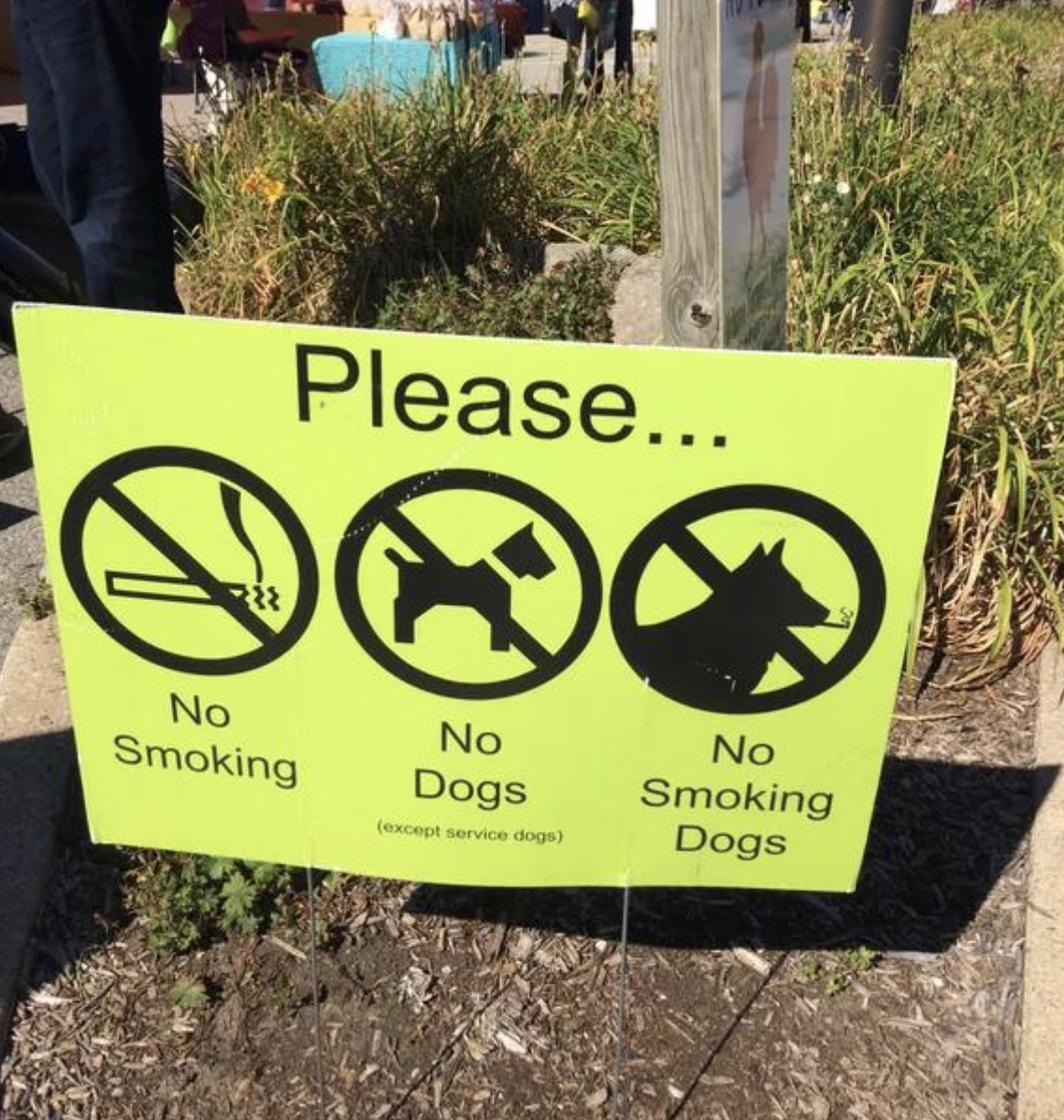Street regulatory sign: &quot;Please: No smoking, no dogs, no smoking dogs&quot;