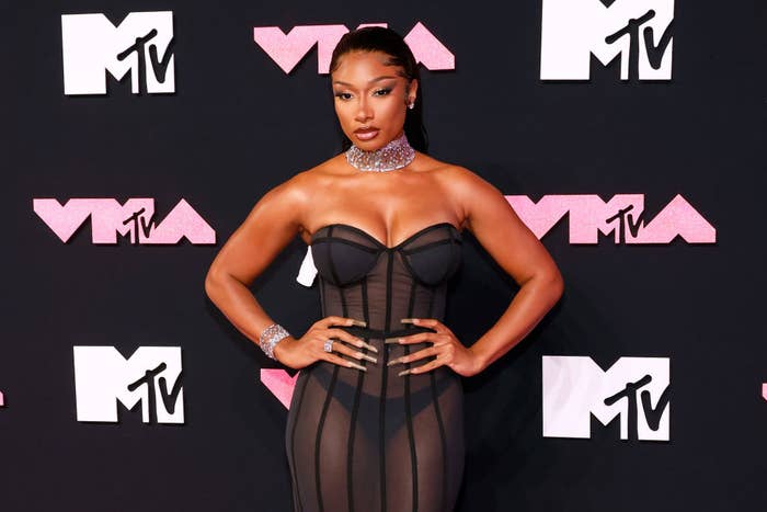 A closeup of Megan Thee Stallion posing on the red carpet with her hand on her hips. Megan is wearing a sheer corset strapless dress