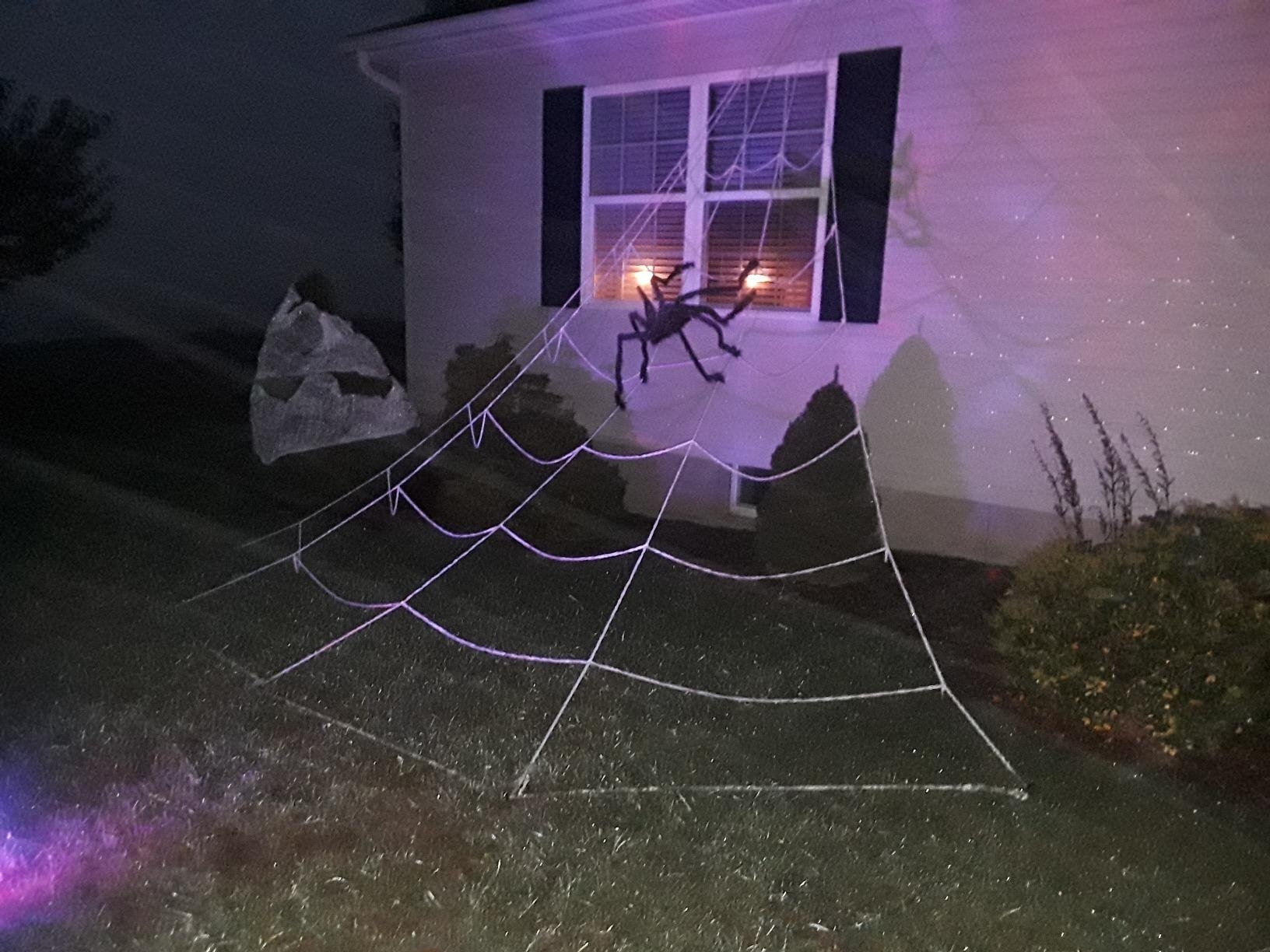 Reviewer image of the spider web on the side of their house