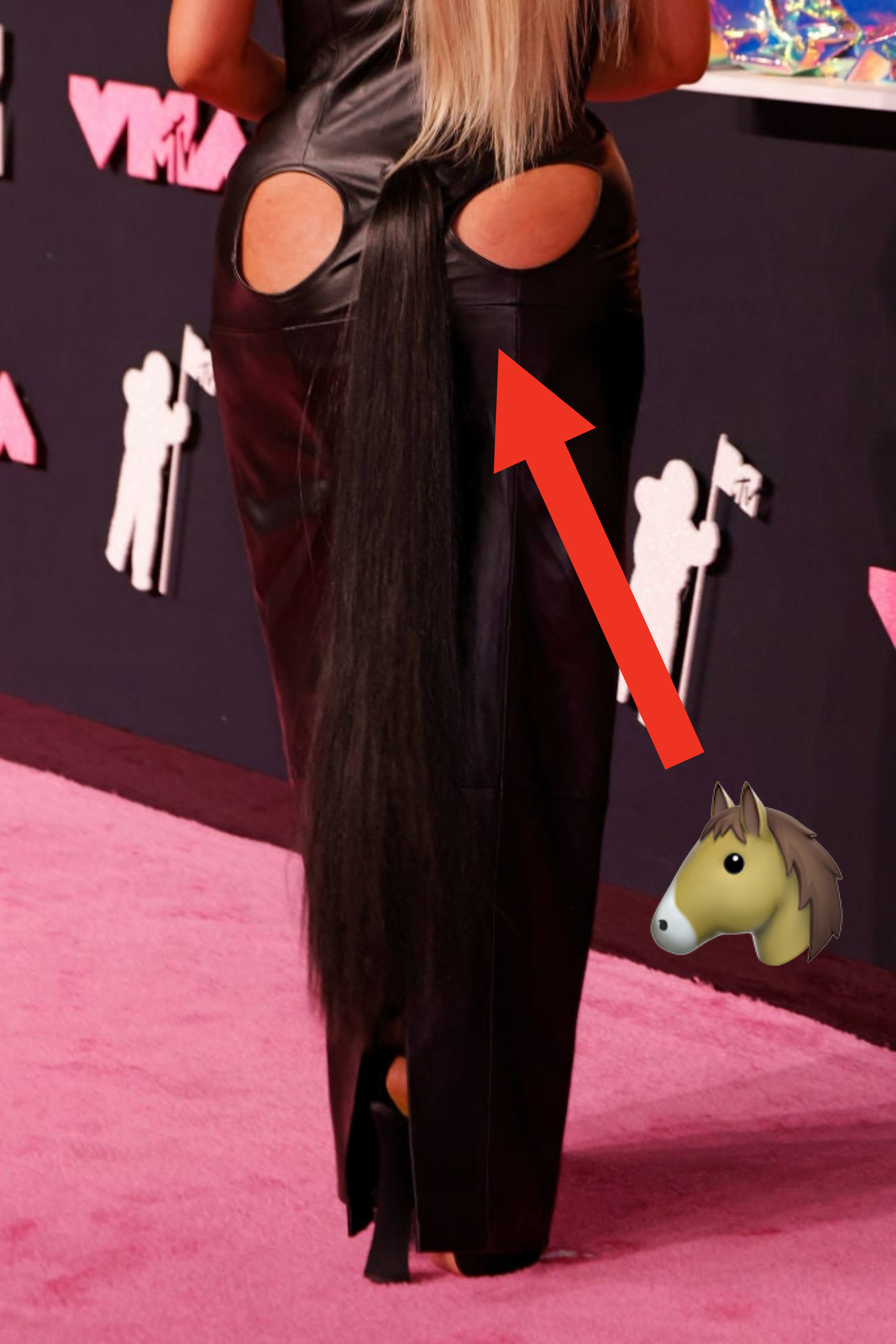 arrow pointing to the hair pony