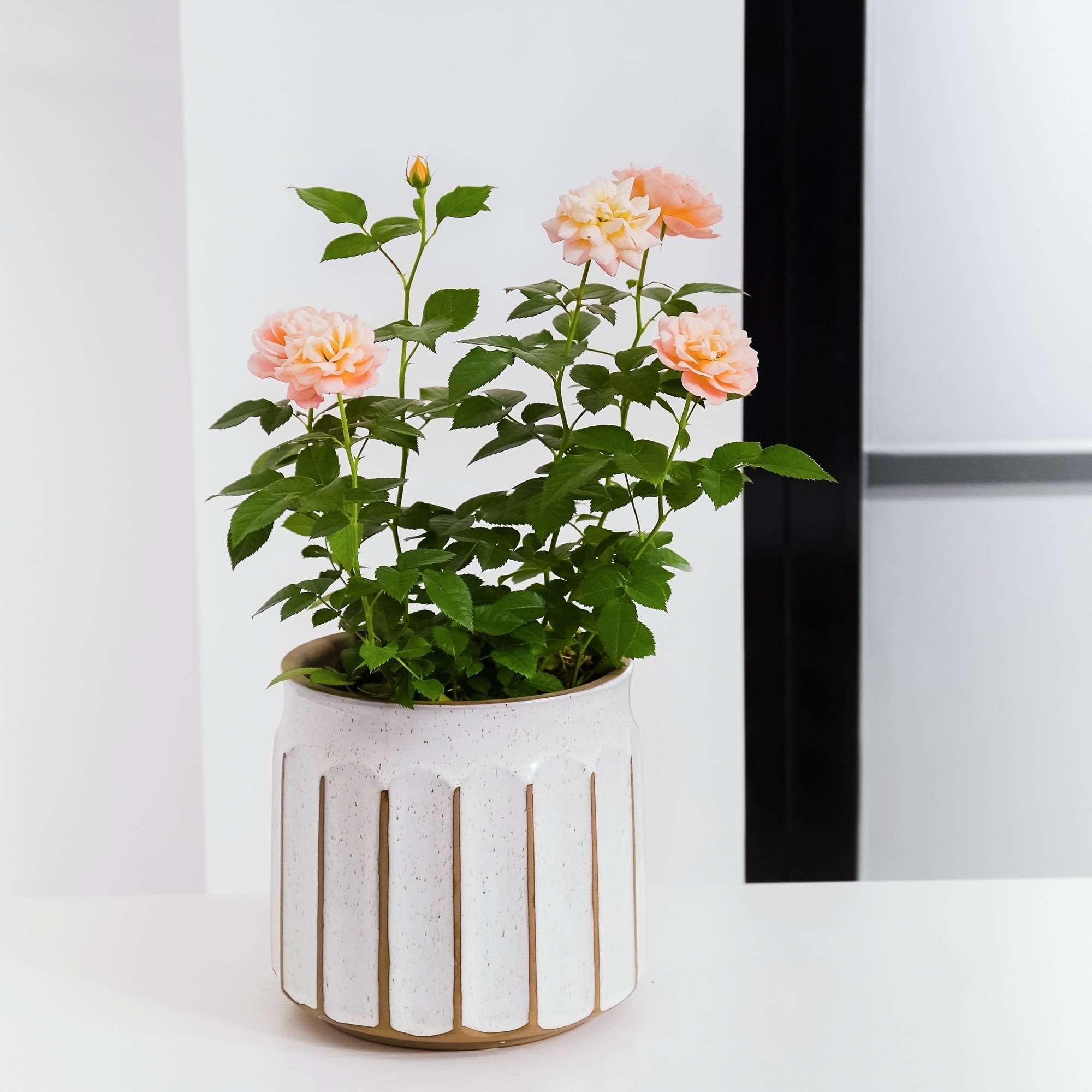 the off white speckly and brown ceramic planter