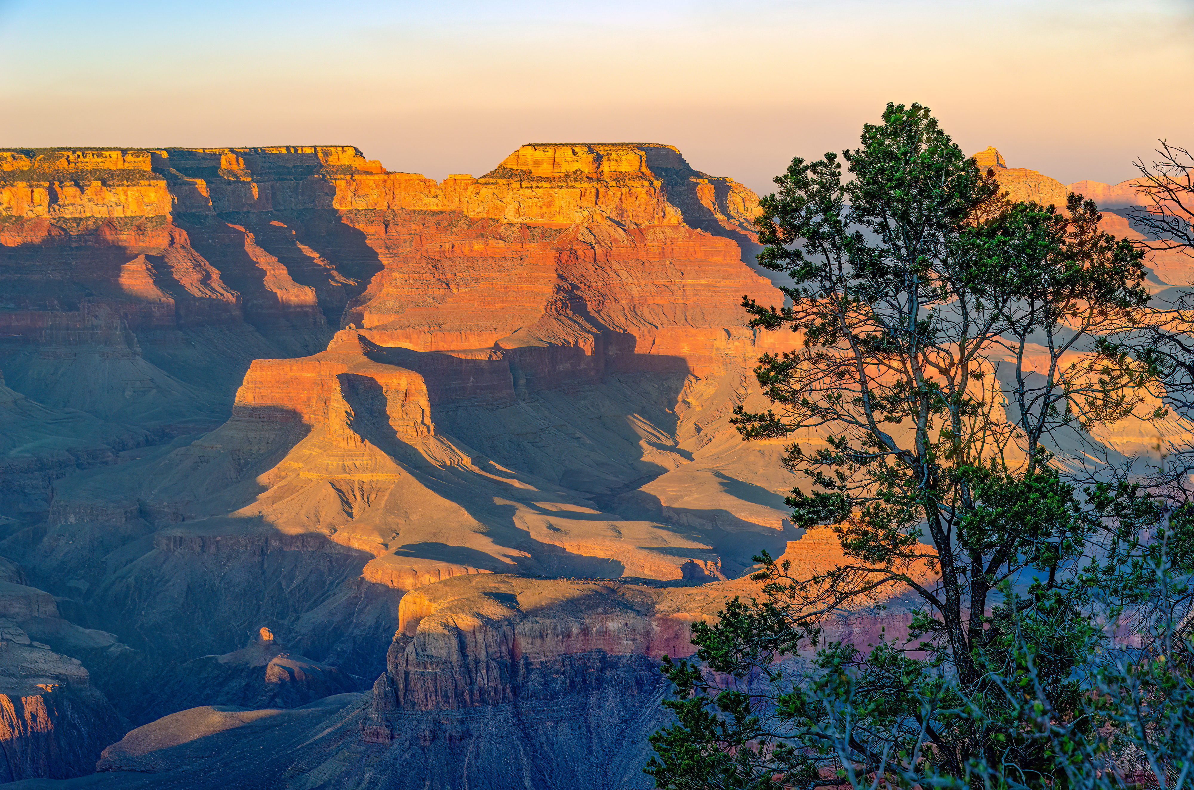 the grand canyon at sunrise