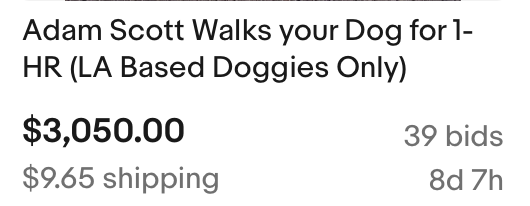Adam Scott walks your dog for one hour (LA-based doggies only) for $3,050