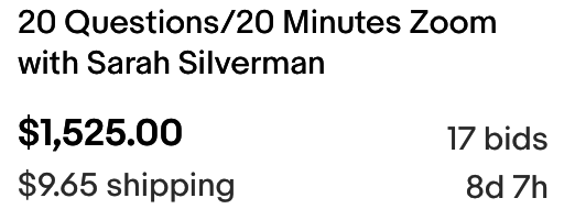 20 questions/10 minutes Zoom with Sarah Silverman for $1,525