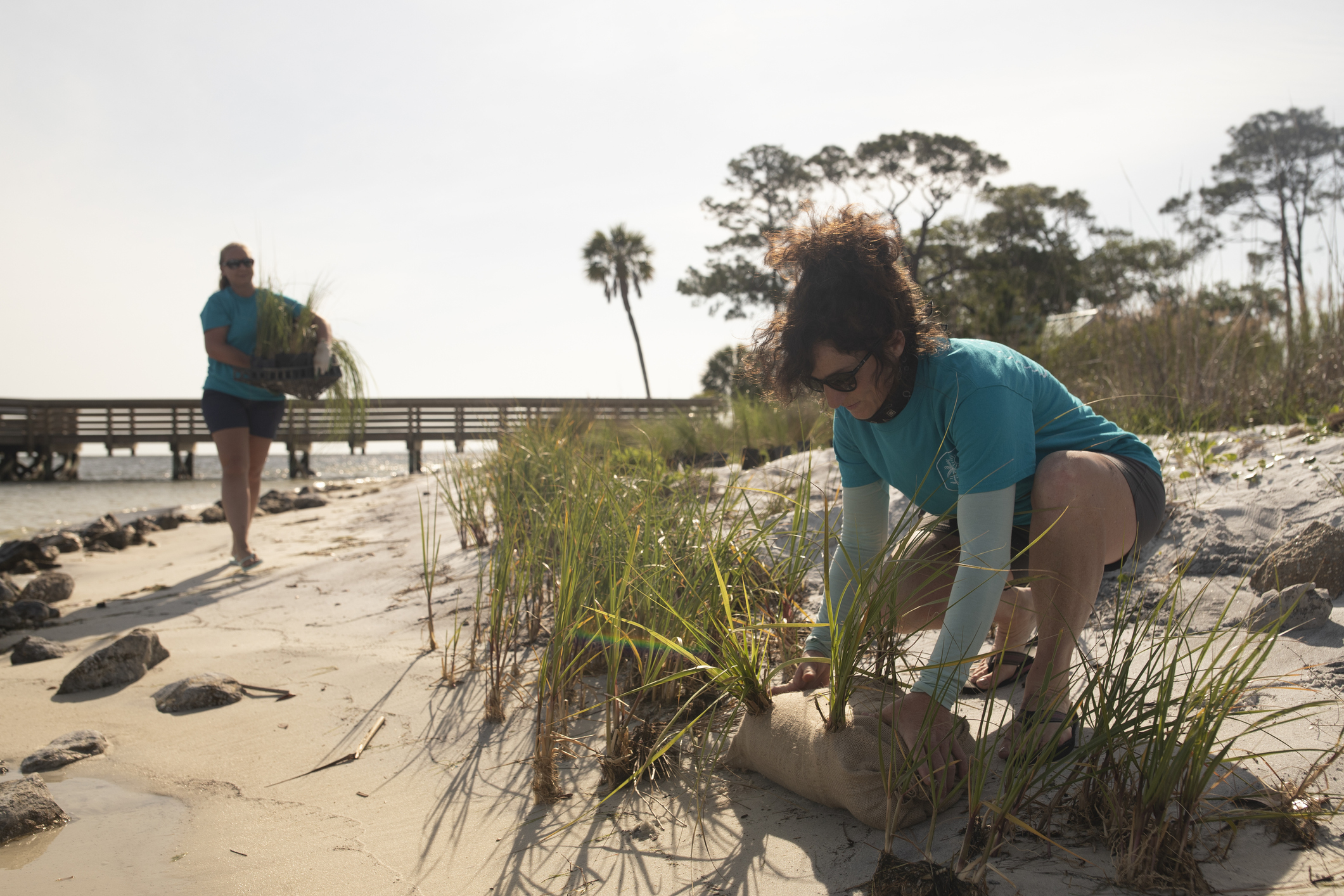 A woman crouched over plants in the sand on the beach and another carrying a plant