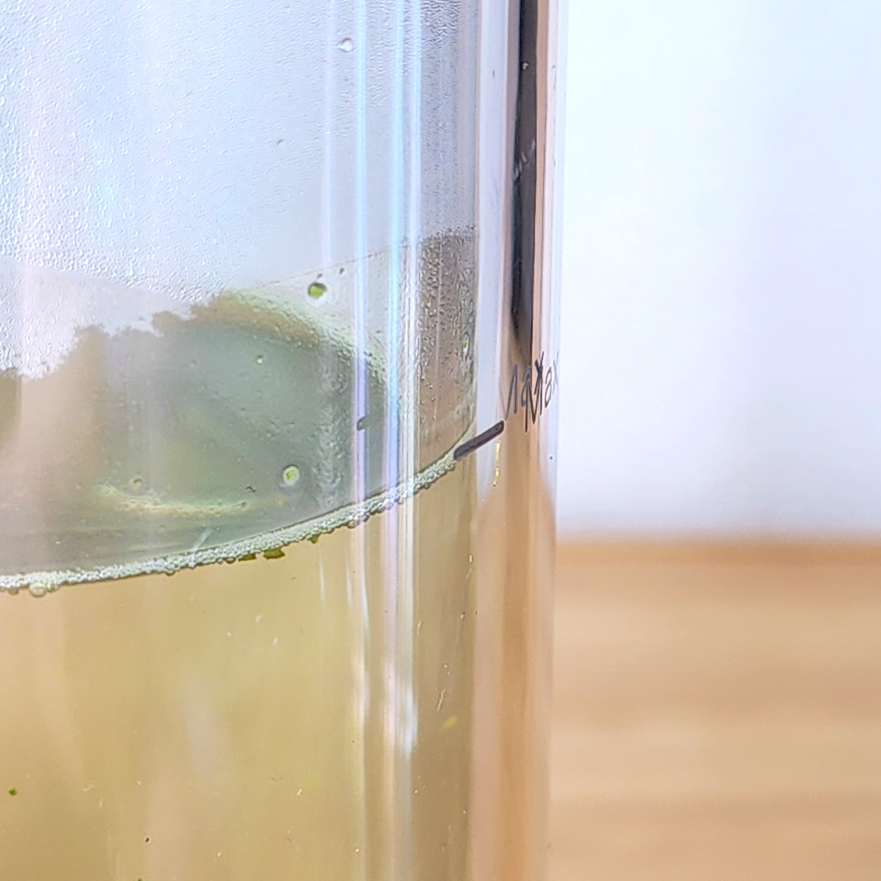 ハンズのおすすめ便利グッズ「ビタントニオ（Vitantonio） ツイスティープラス VTW‐50」