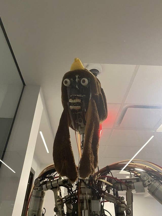 robot with a face with a fur-ear hat