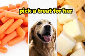 pick a treat for her: carrot or cheese for golden retriever