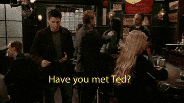 someone saying have you met ted