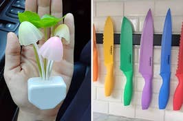 mushroom light, rainbow knives