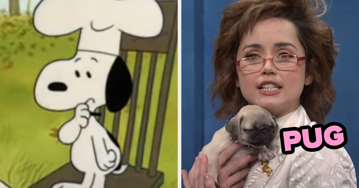 Dog names reveal perfect dog breed for you quiz
