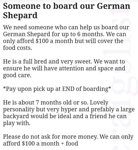 &quot;Someone to board our German Shepherd&quot;