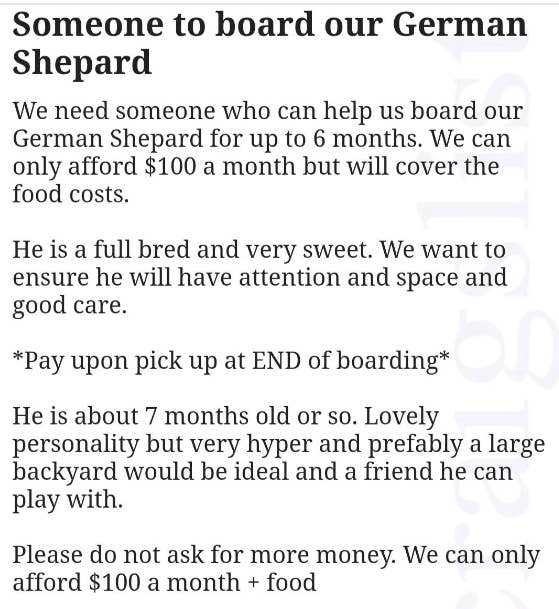 "Someone to board our German Shepherd"