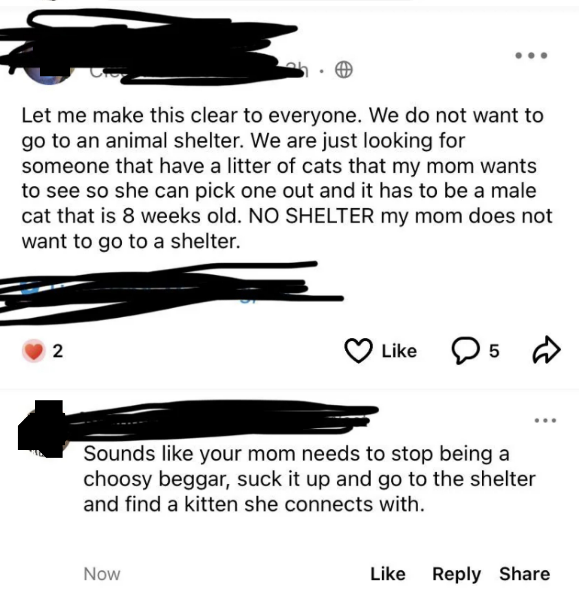 &quot;Sounds like your mom needs to stop being a choosy beggar, suck it up and go to the shelter and find a kitten she connects with.&quot;