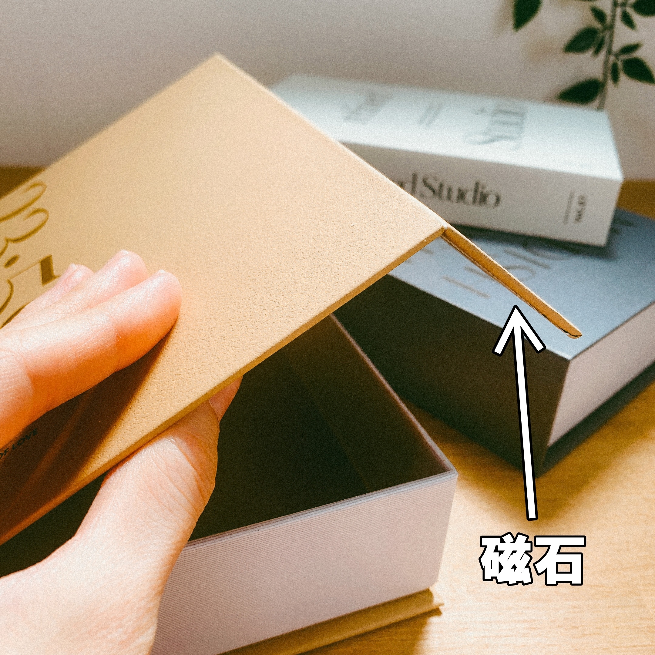 3COINS（スリーコインズ）のおすすめの便利アイテム「【cozyroom】Book型小物入れ」