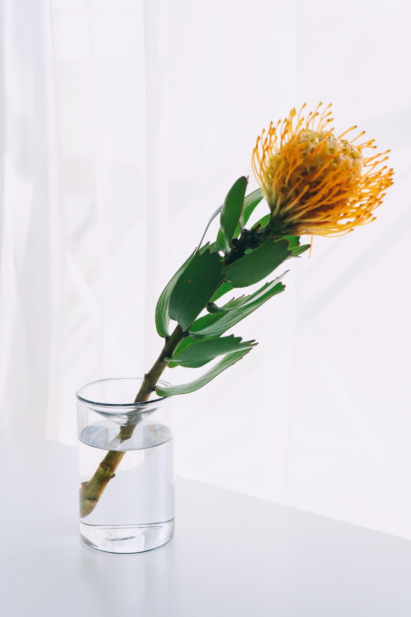 3COINSのオススメ雑貨「マルチフラワーベース」