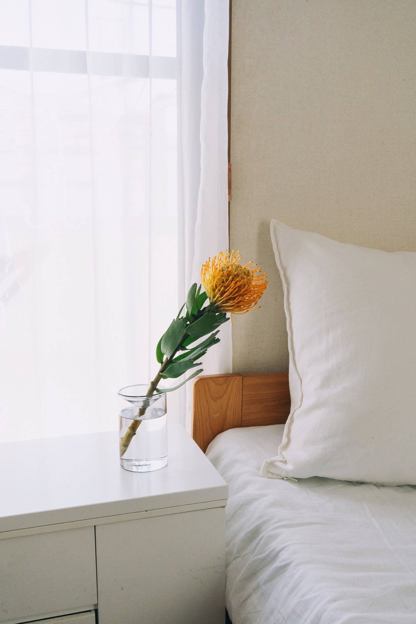 3COINSのオススメ雑貨「マルチフラワーベース」