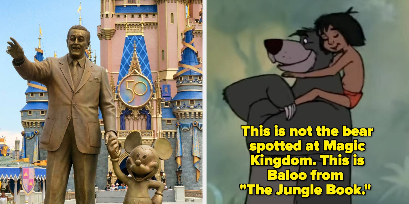 A Wild Bear Was Safely Captured At Walt Disney World - Vimarsana News