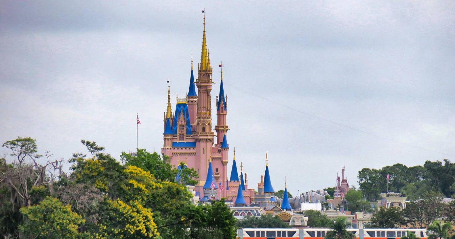 Forget Mickey Mouse: There Was A Bear Spotted Hanging Out In A Tree At Walt Disney World