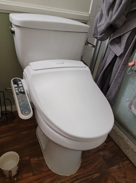 bidet toilet seat in bathroom