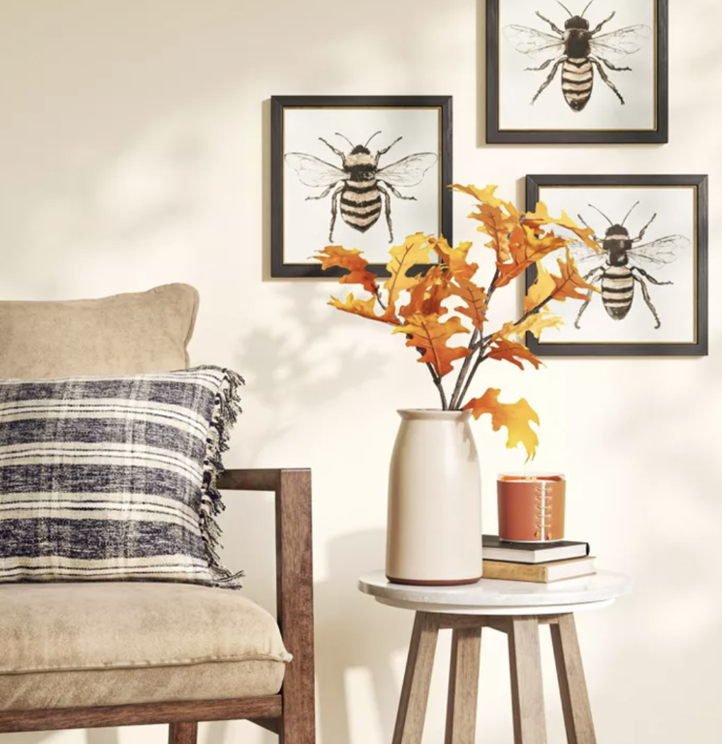 The set of three bee framed canvases