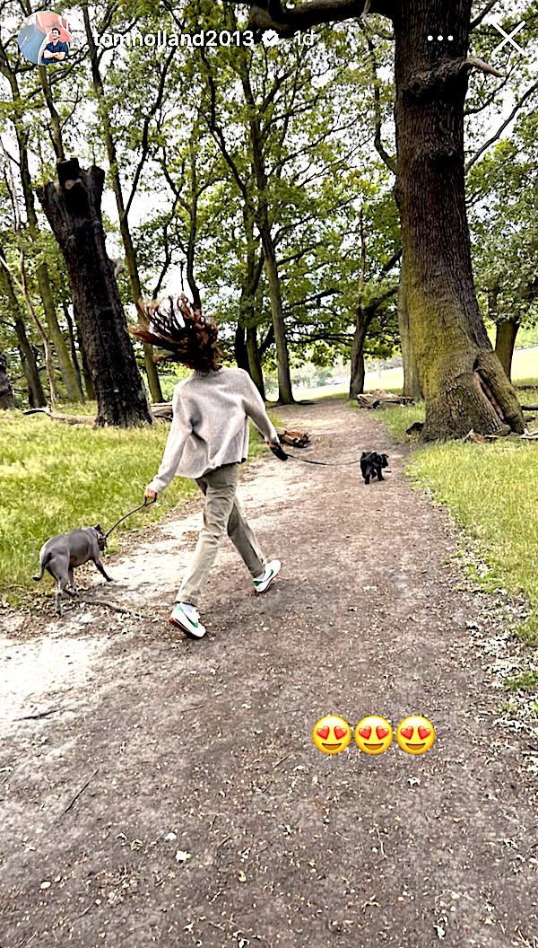 her walking the dogs