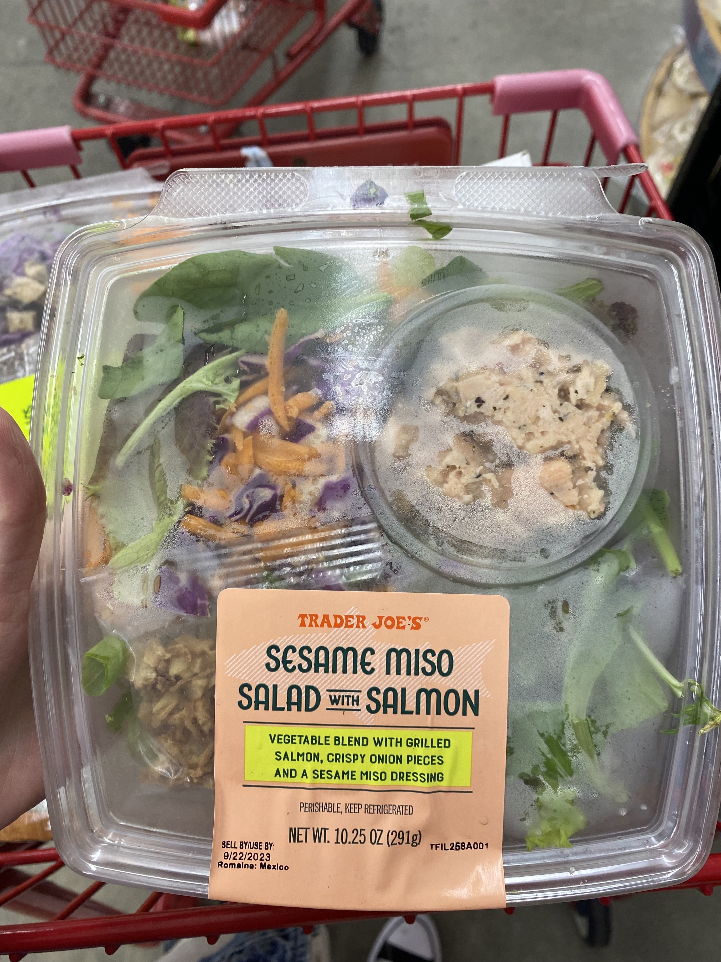 a container of sesame miso salad with salmon