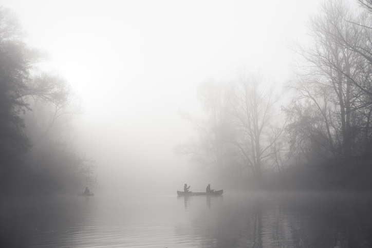 people kayaking in the fog